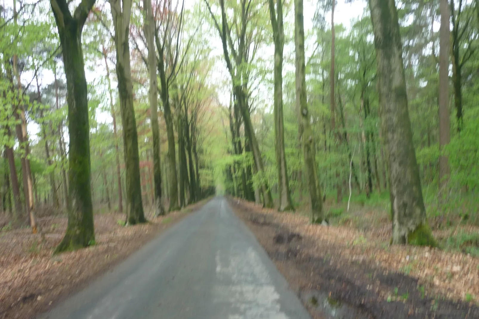 De Snoeibijl-Areas summer 5km