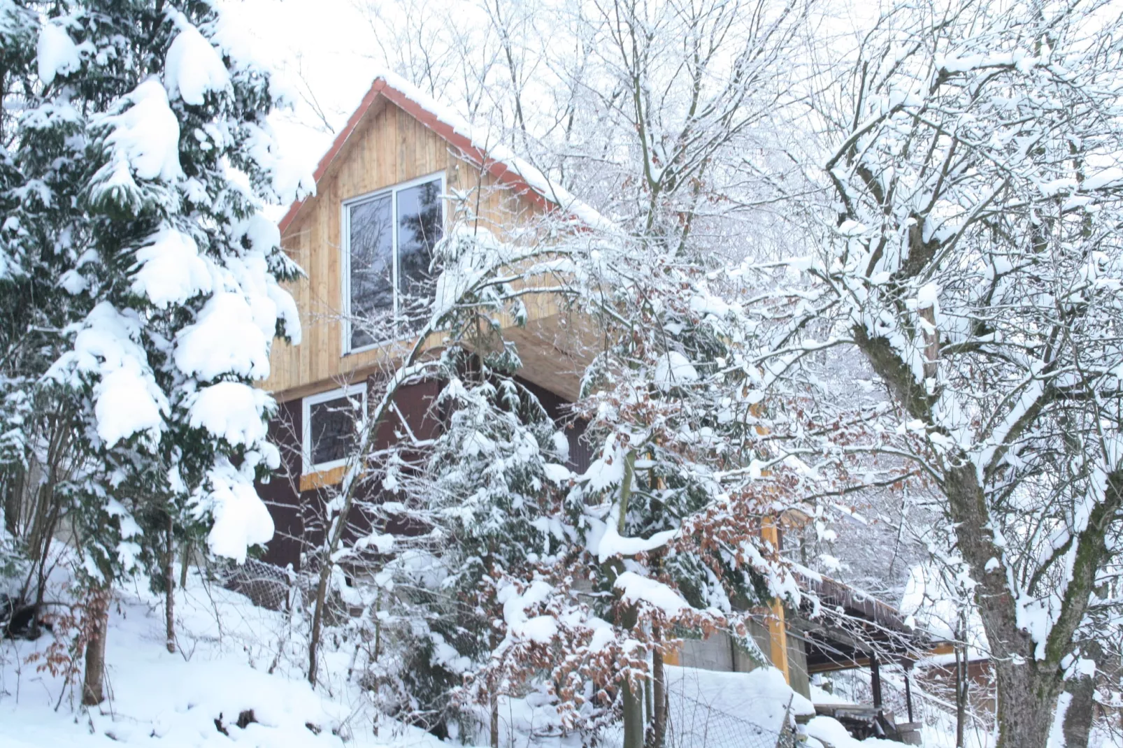 Reeenheuvel-Exterior winter