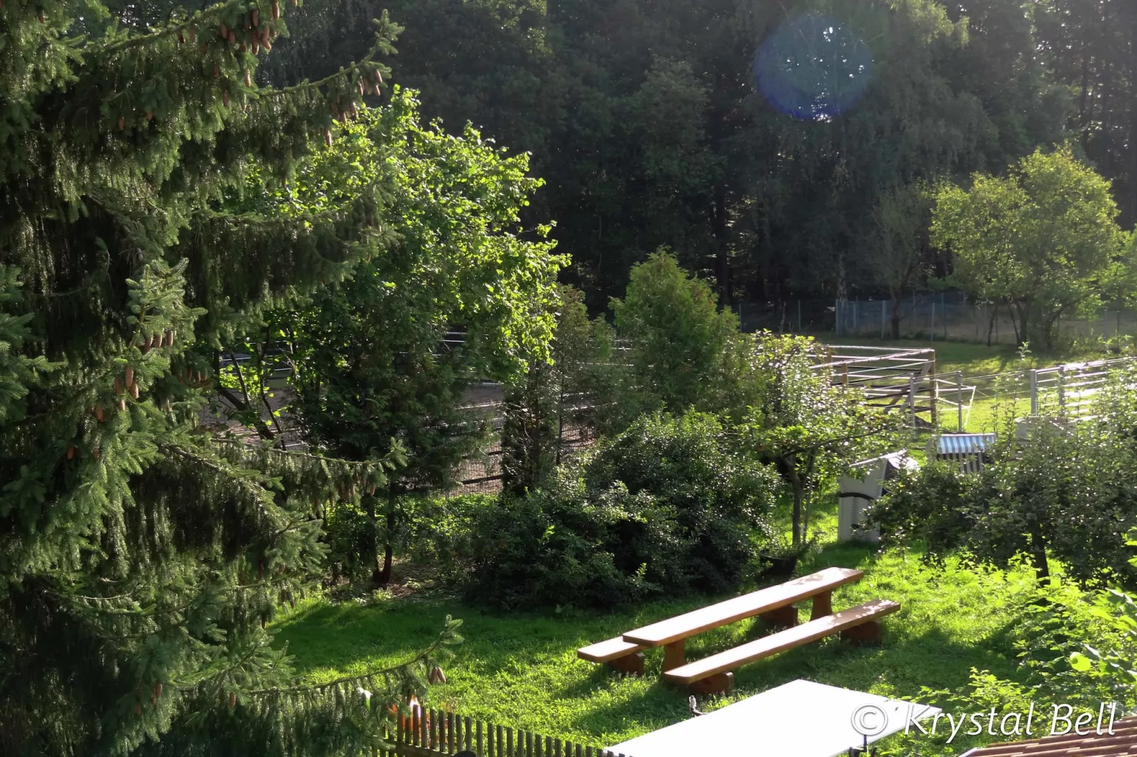 Im Kellerwald-Gärten Sommer