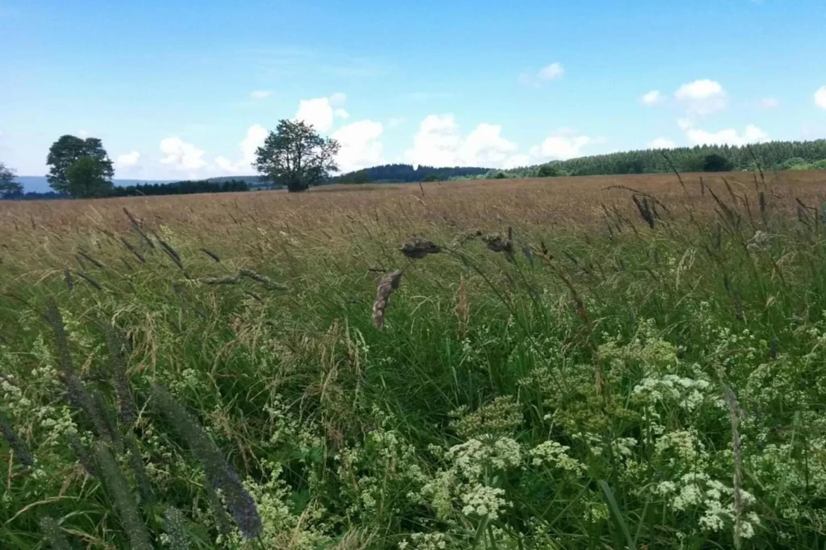 Bergfreunde-Areas summer 20km
