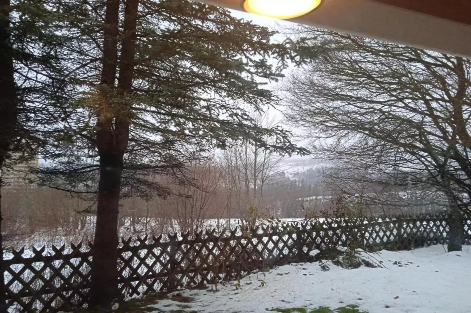 Im Zorger Tal-Area within 20km in winter