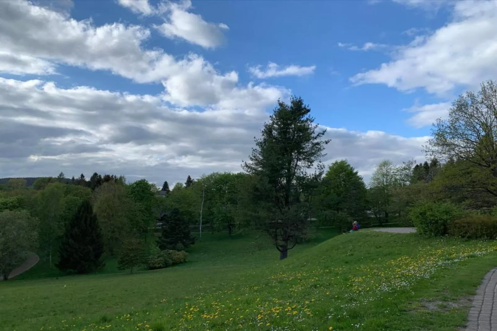 Waldferienhaus-Areas summer 20km