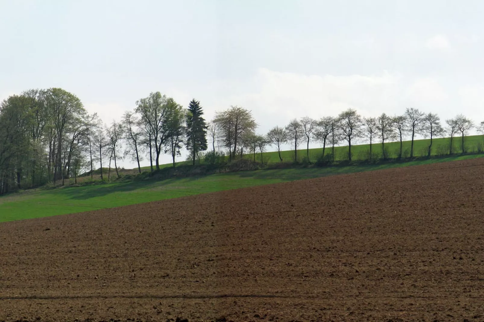 Ober der Hasselt-Areas summer 1km