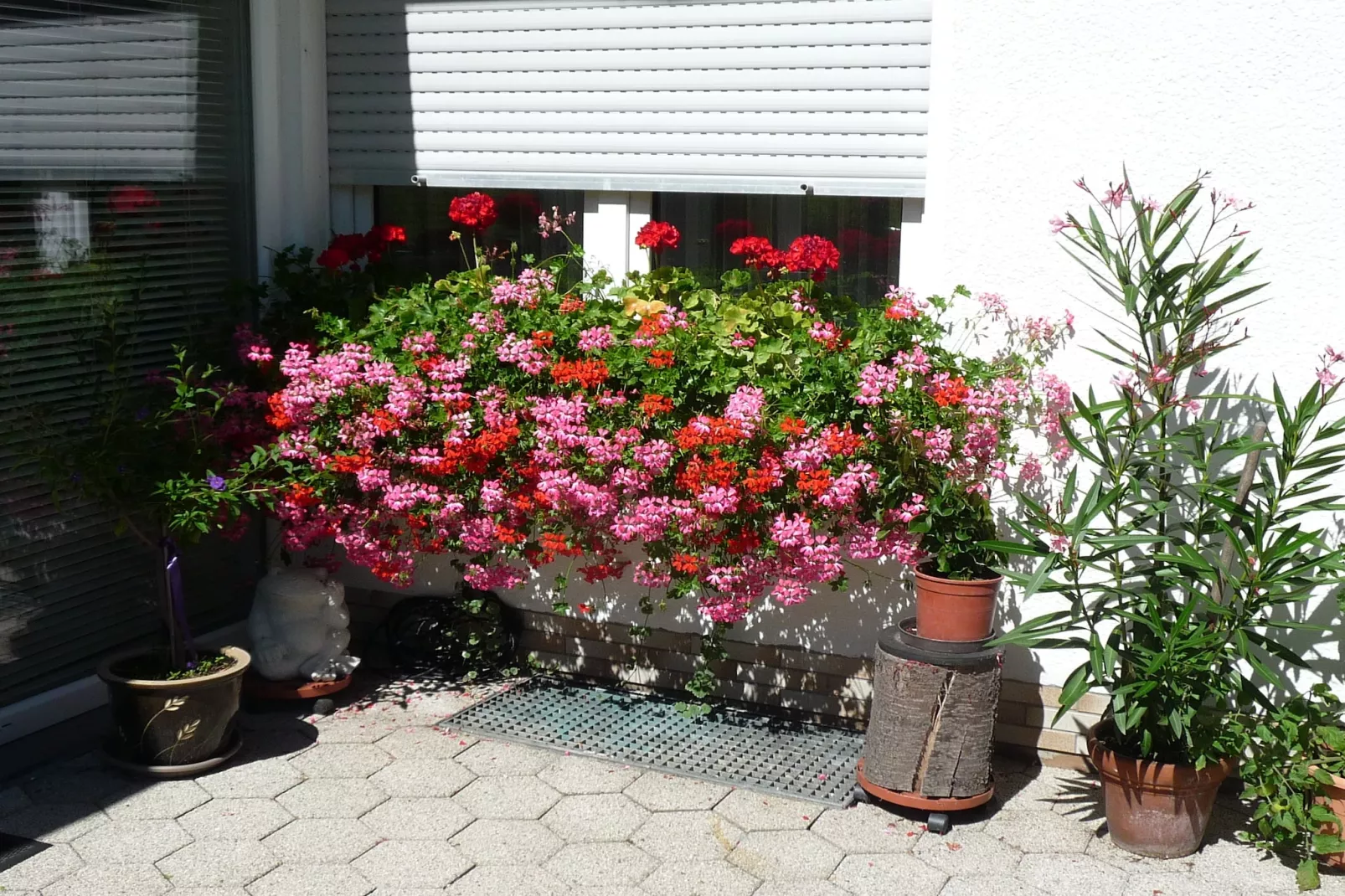 Haus Helga-Gardens summer