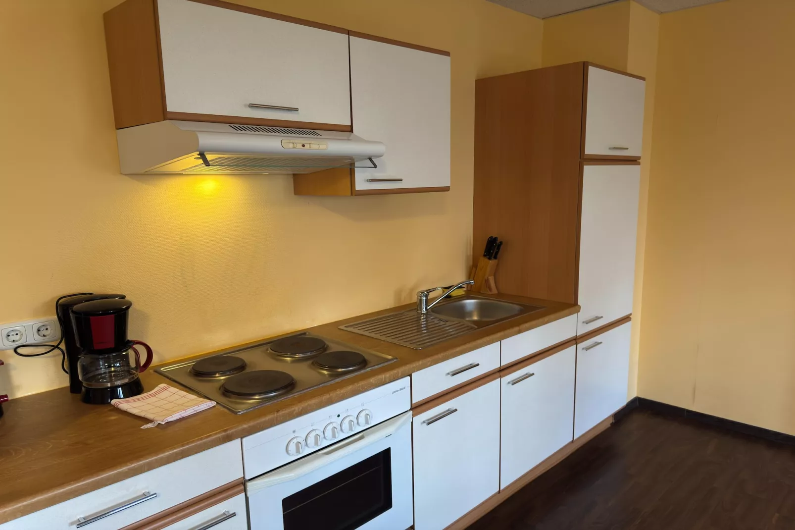 Residence Park am Schweriner See / Studio 40 qm-Kitchen