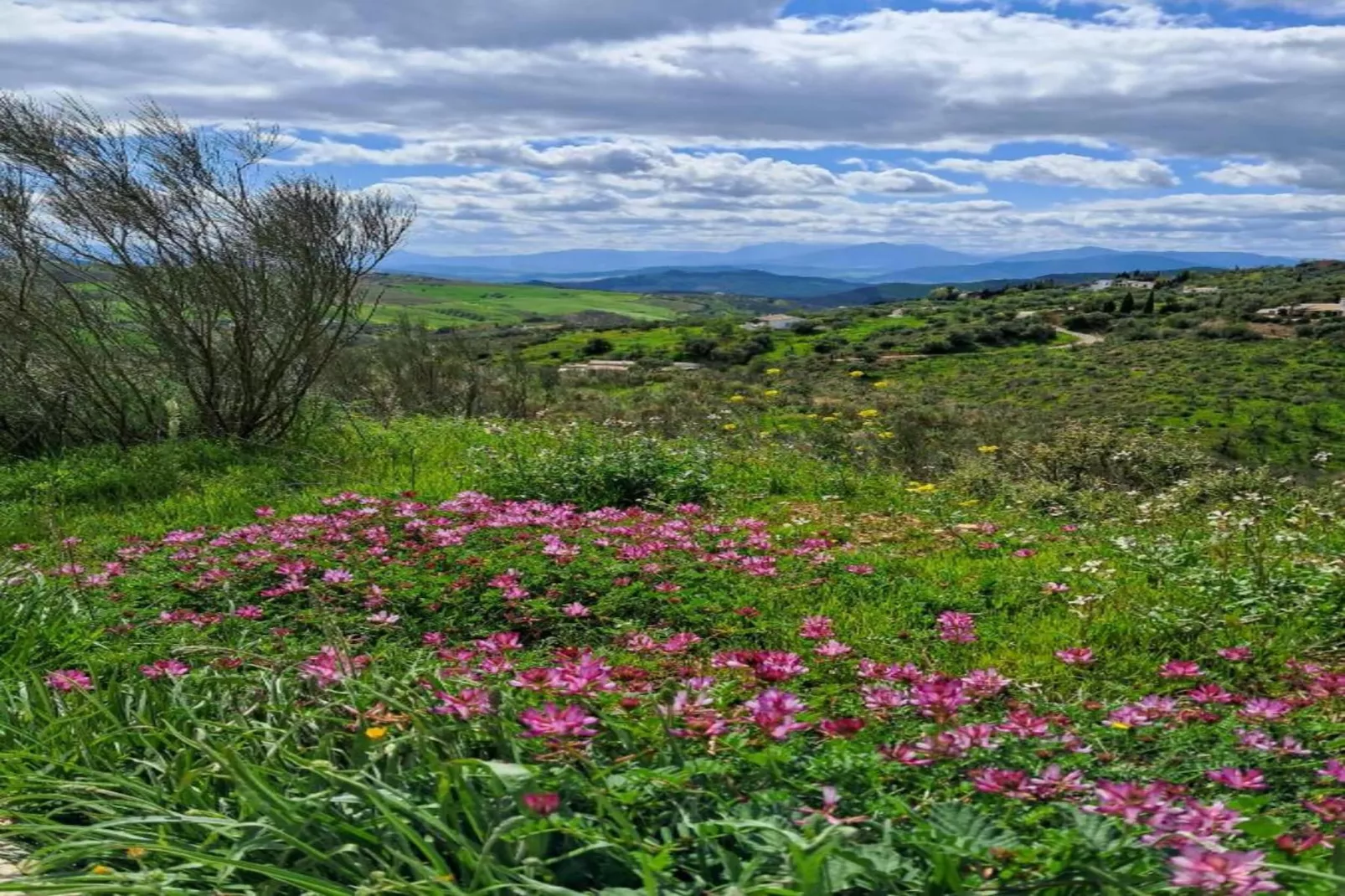 Casa Coqui & Juan Ramón-Areas summer 20km