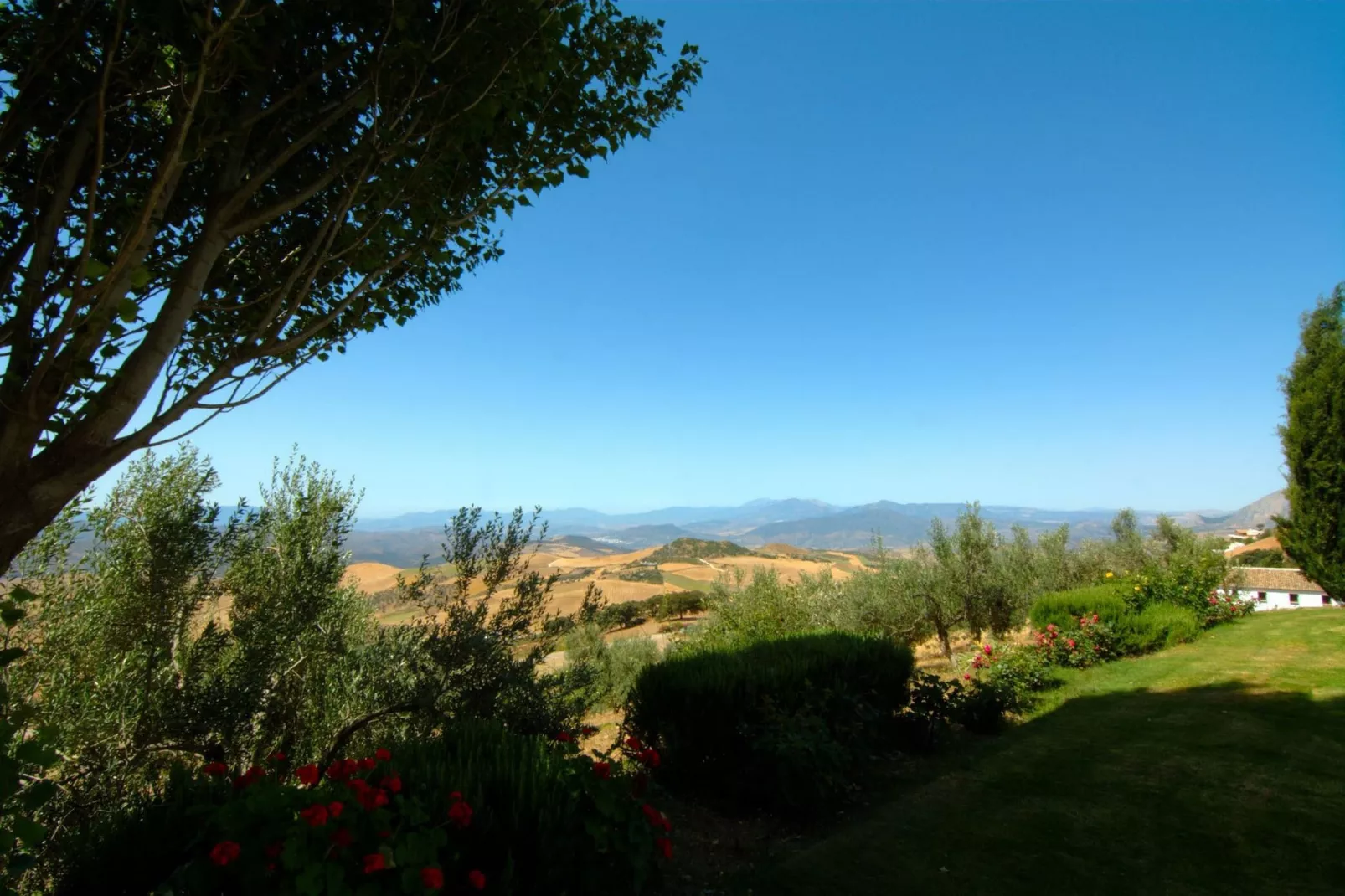 El Encinar-Aussicht Sommer