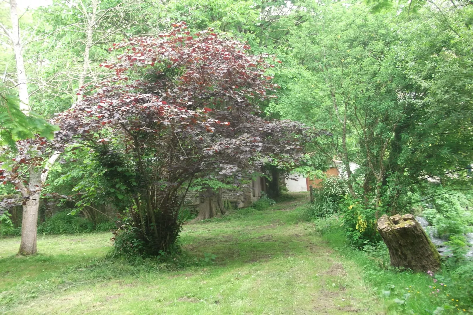Moulin Bescond-Gardens summer
