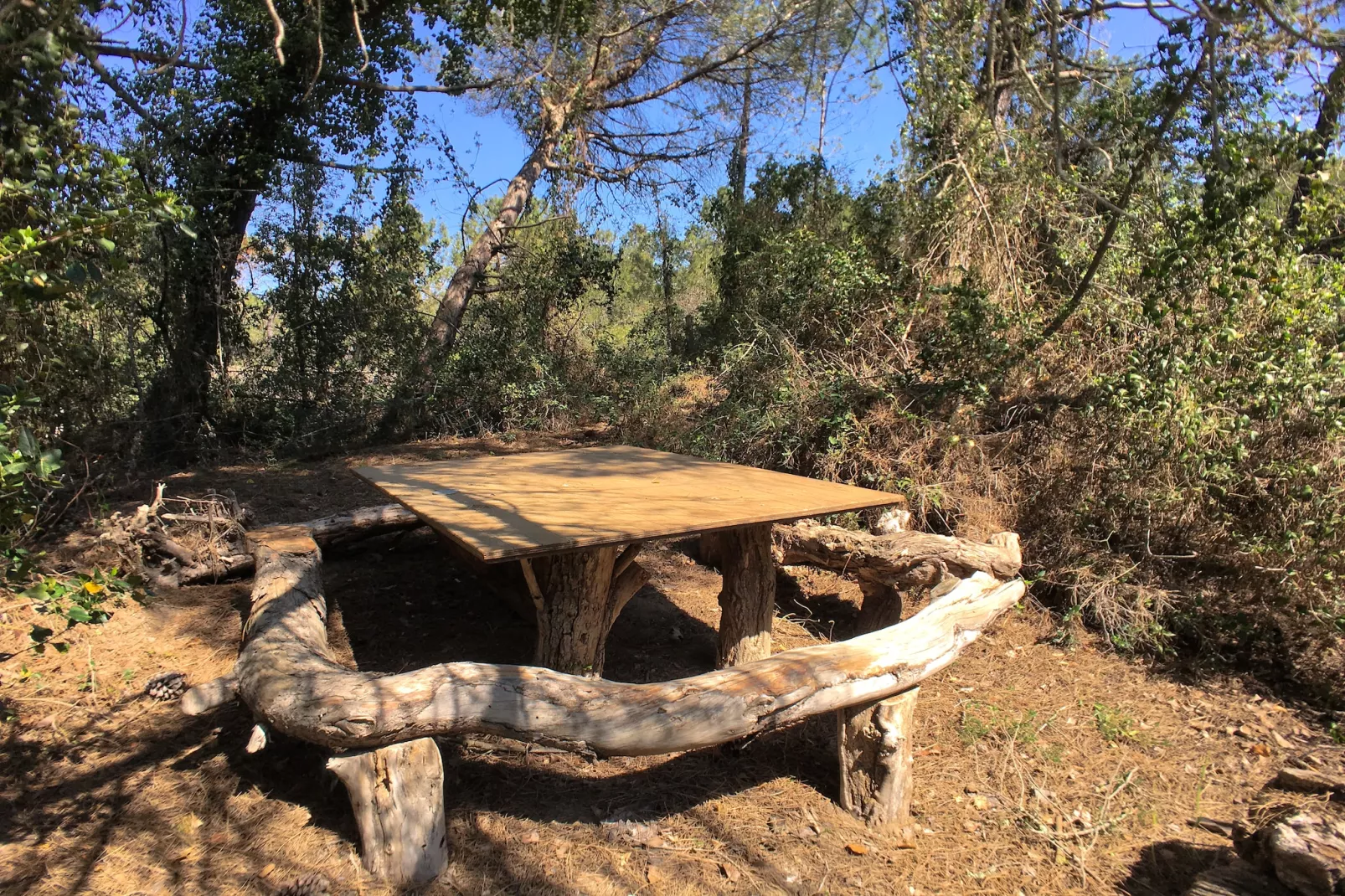 Pineta Bouganville-Facilities