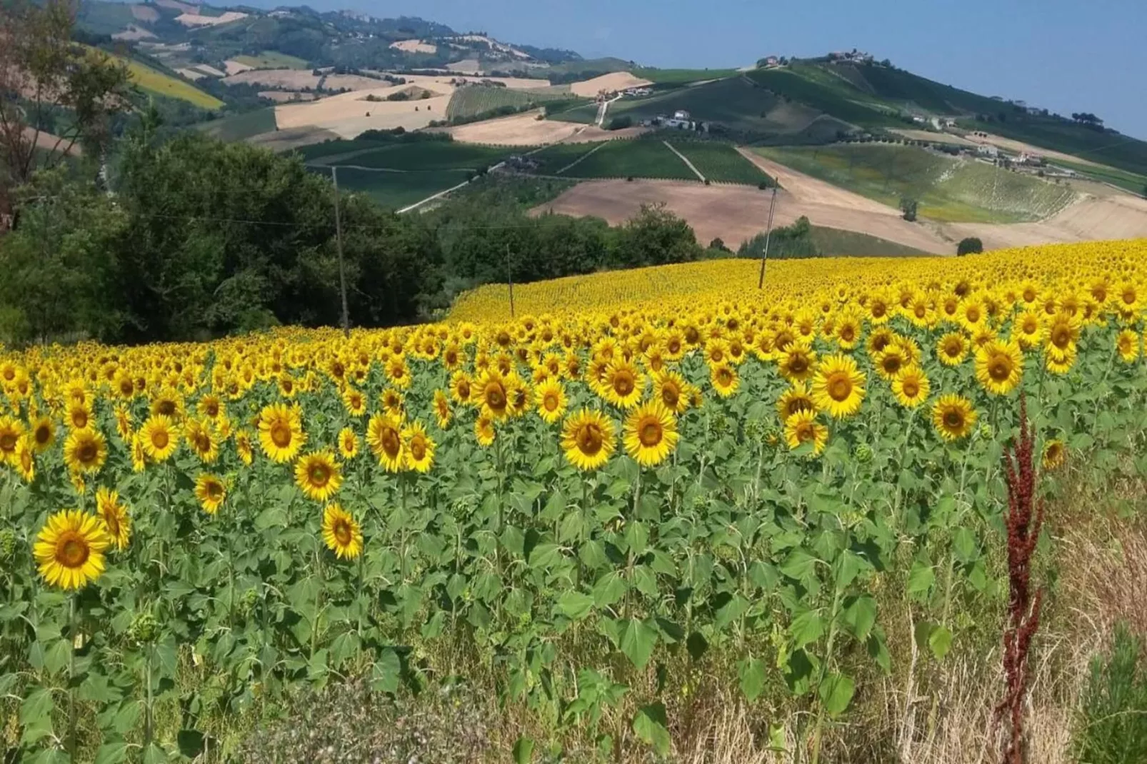 Casale le Querce-Areas summer 20km