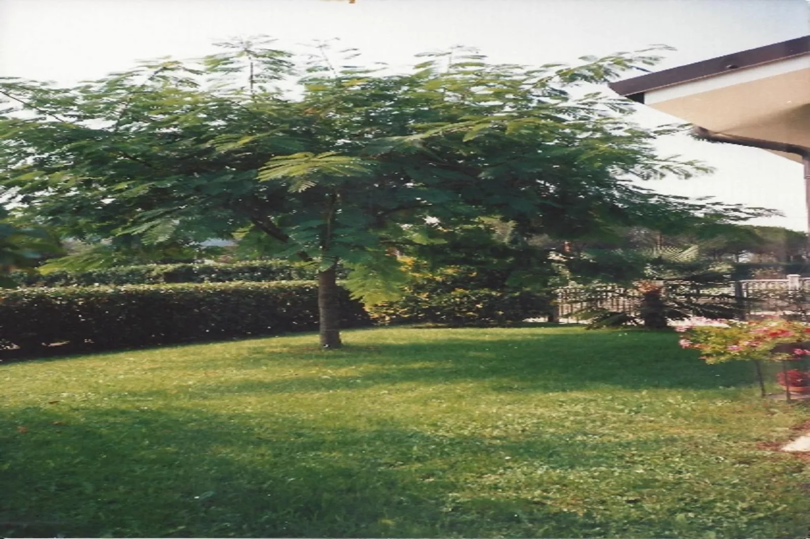 Casa Travesio-Gärten Sommer