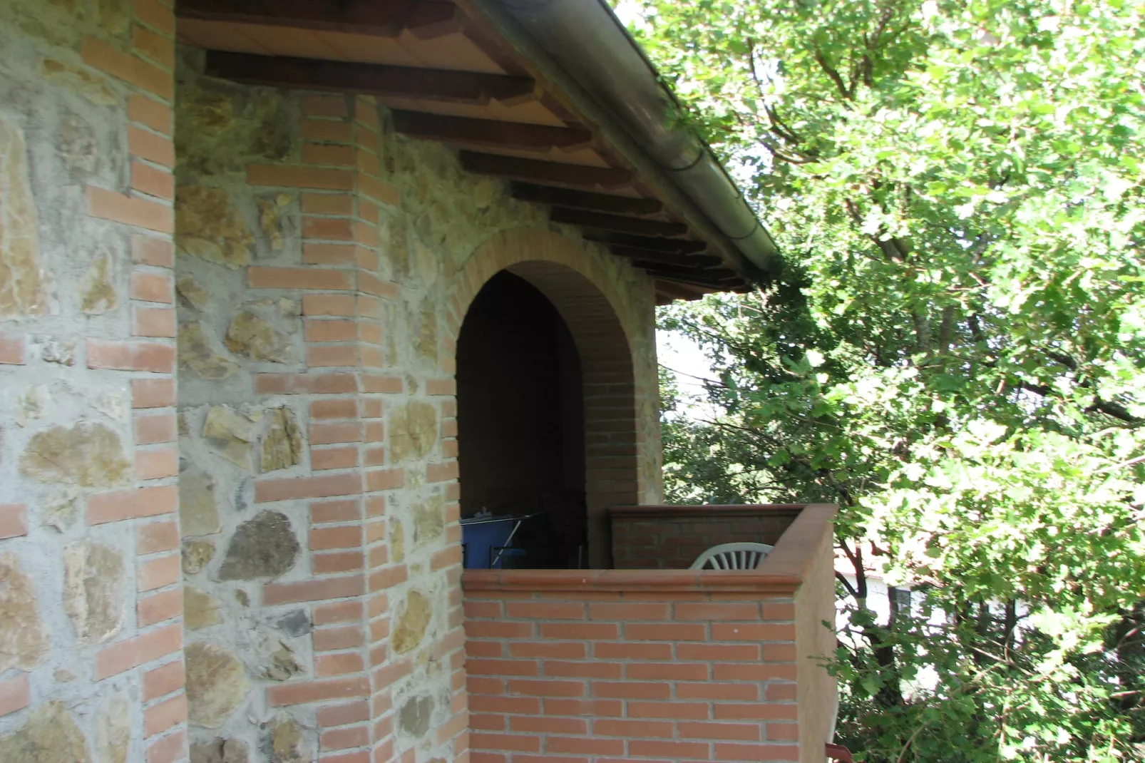 Olivo-Exterior summer