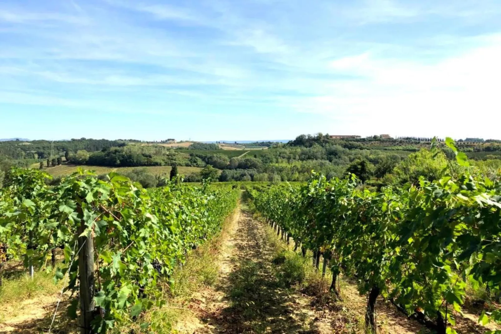San Francesco Tre-Areas summer 20km