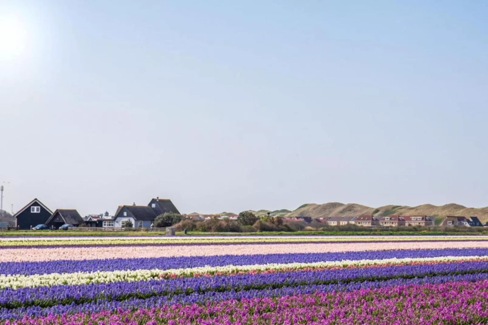 Vakantiepark Duynzicht 1-Areas summer 5km