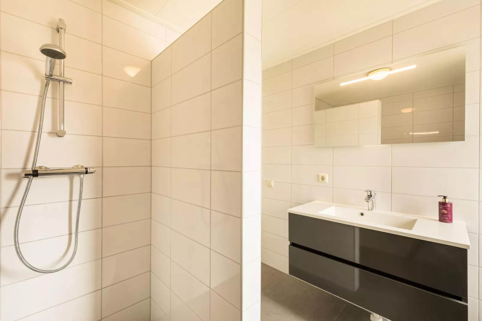 Vakantiepark De Heeren van 's Gravensande 2-Bathroom