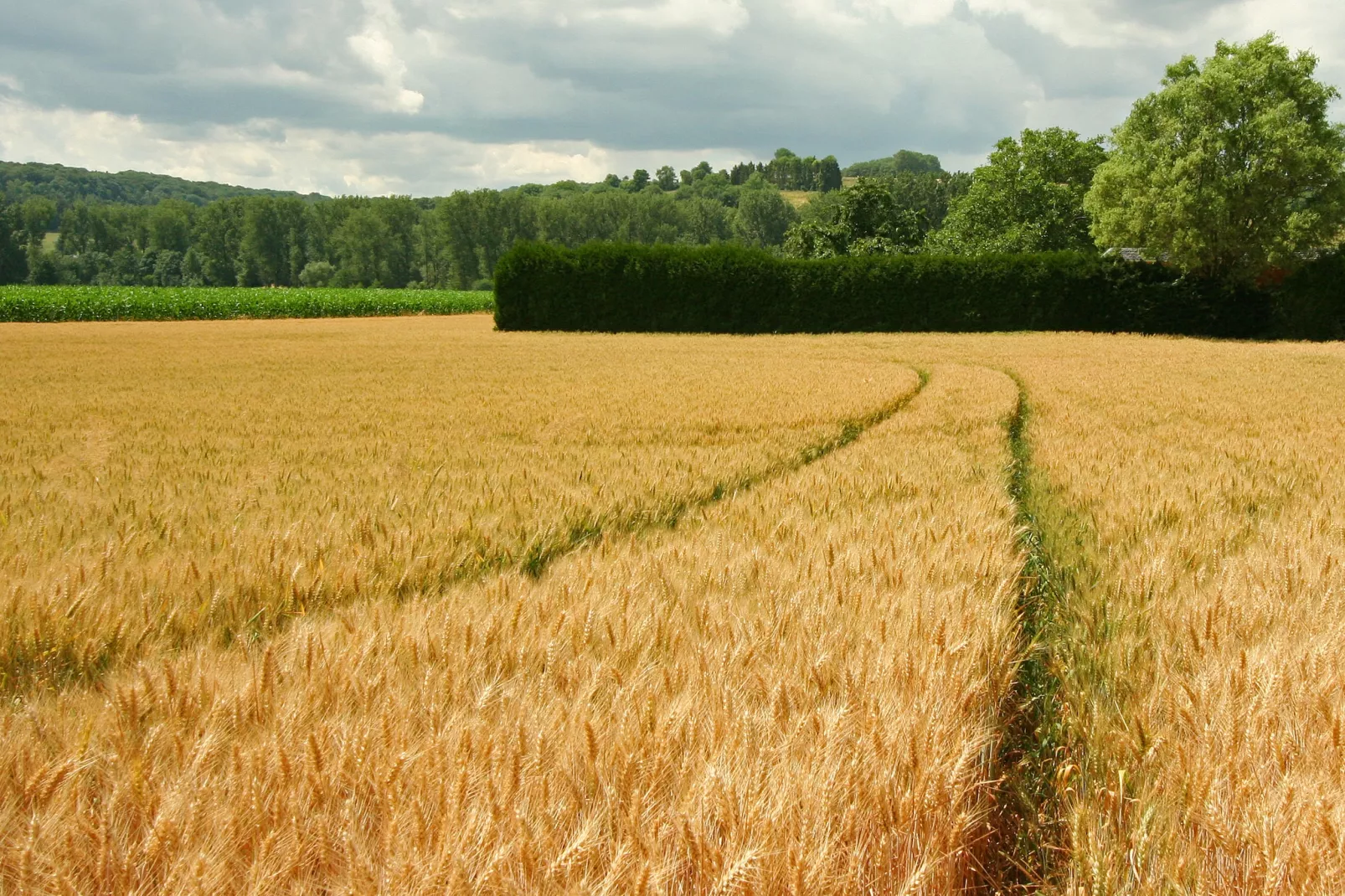 Hoeve in gunne winkel 2-Gebiete Sommer 1 km