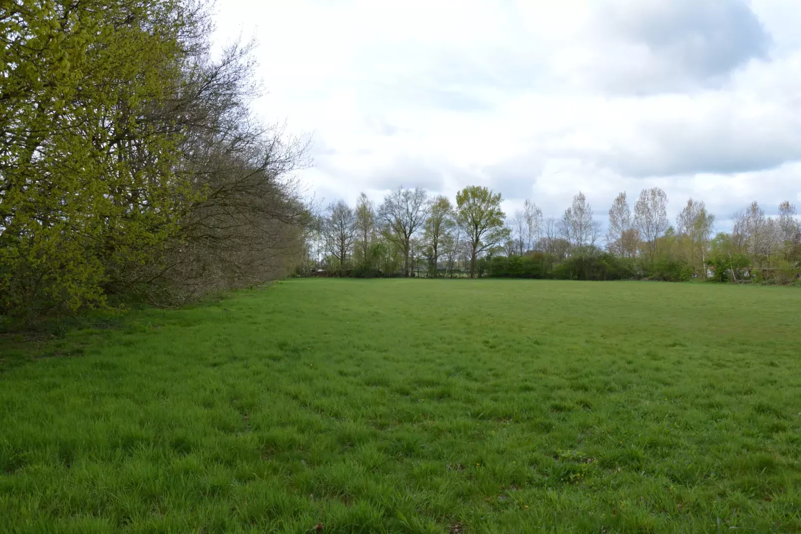 Zijzicht-View summer