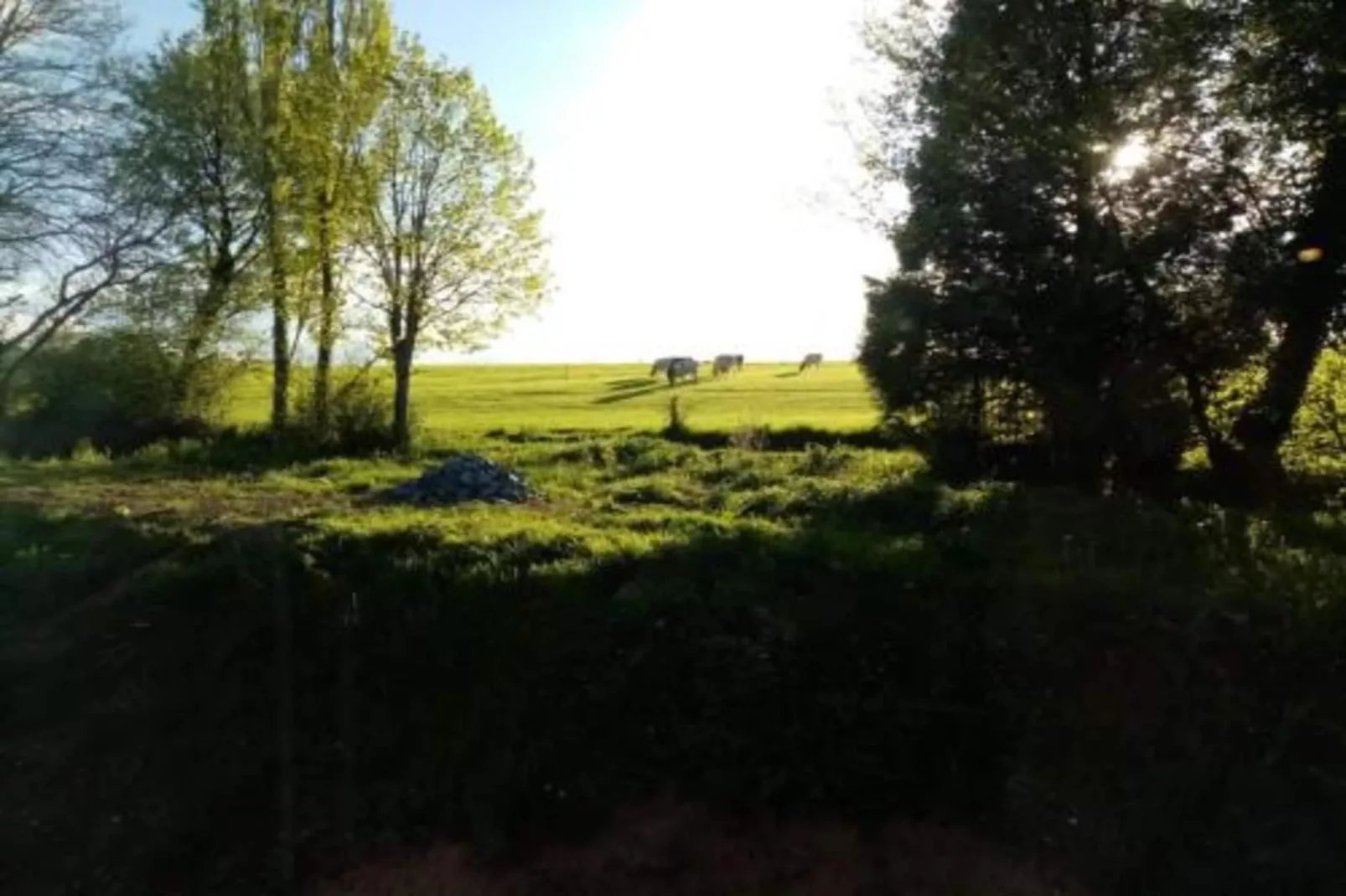 Castel 'Golf' Appart 4 Pers-Areas summer 20km