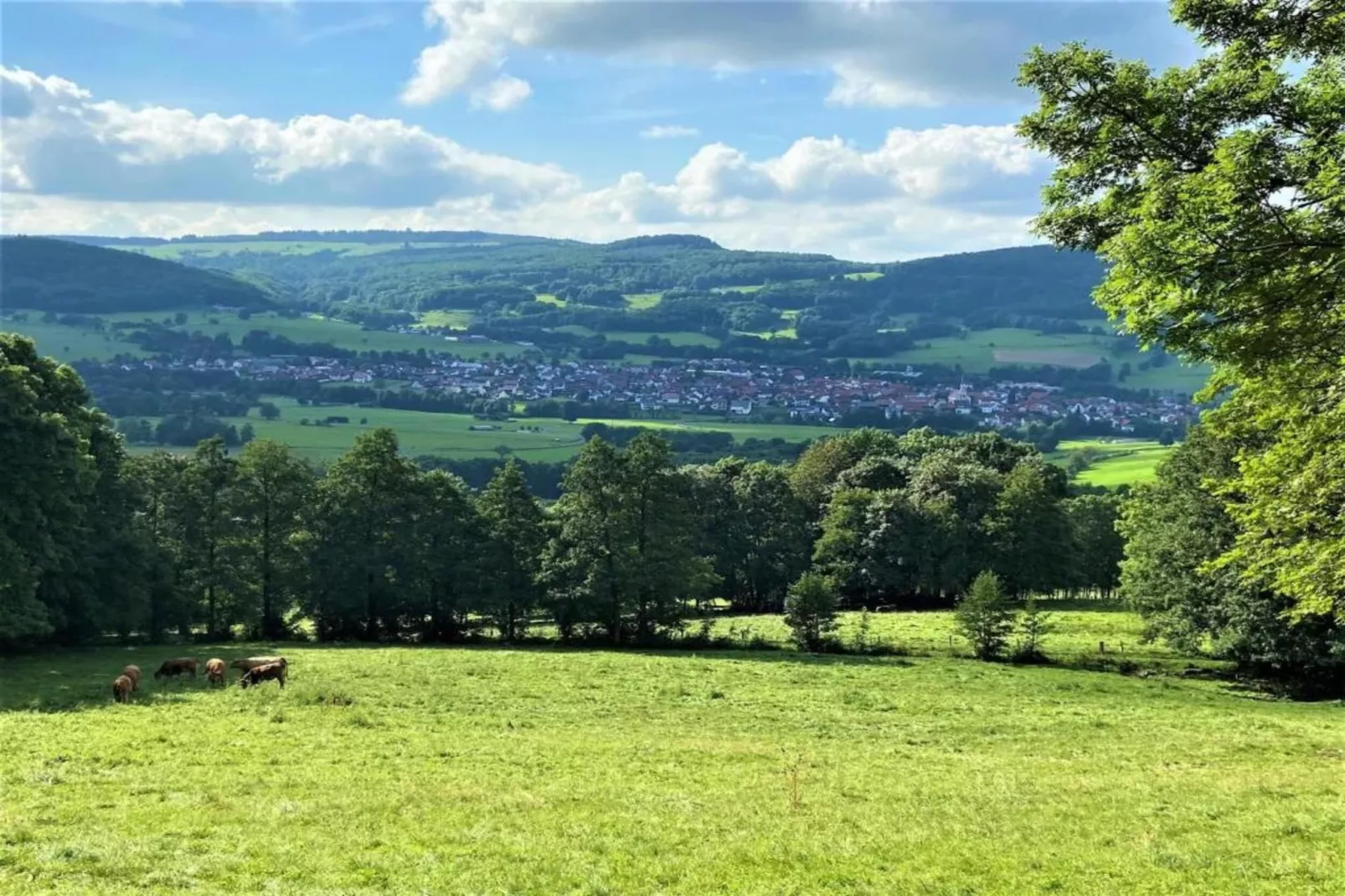 Hohe Rhön-Gebiete Sommer 20 km