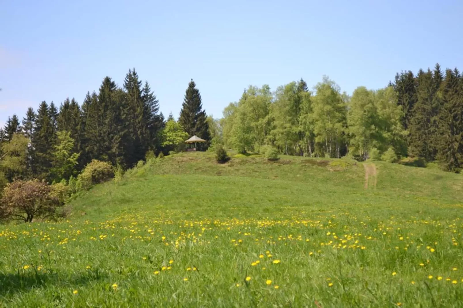 Ferienapartment Afrika in Wildemann Harz-Areas summer 20km