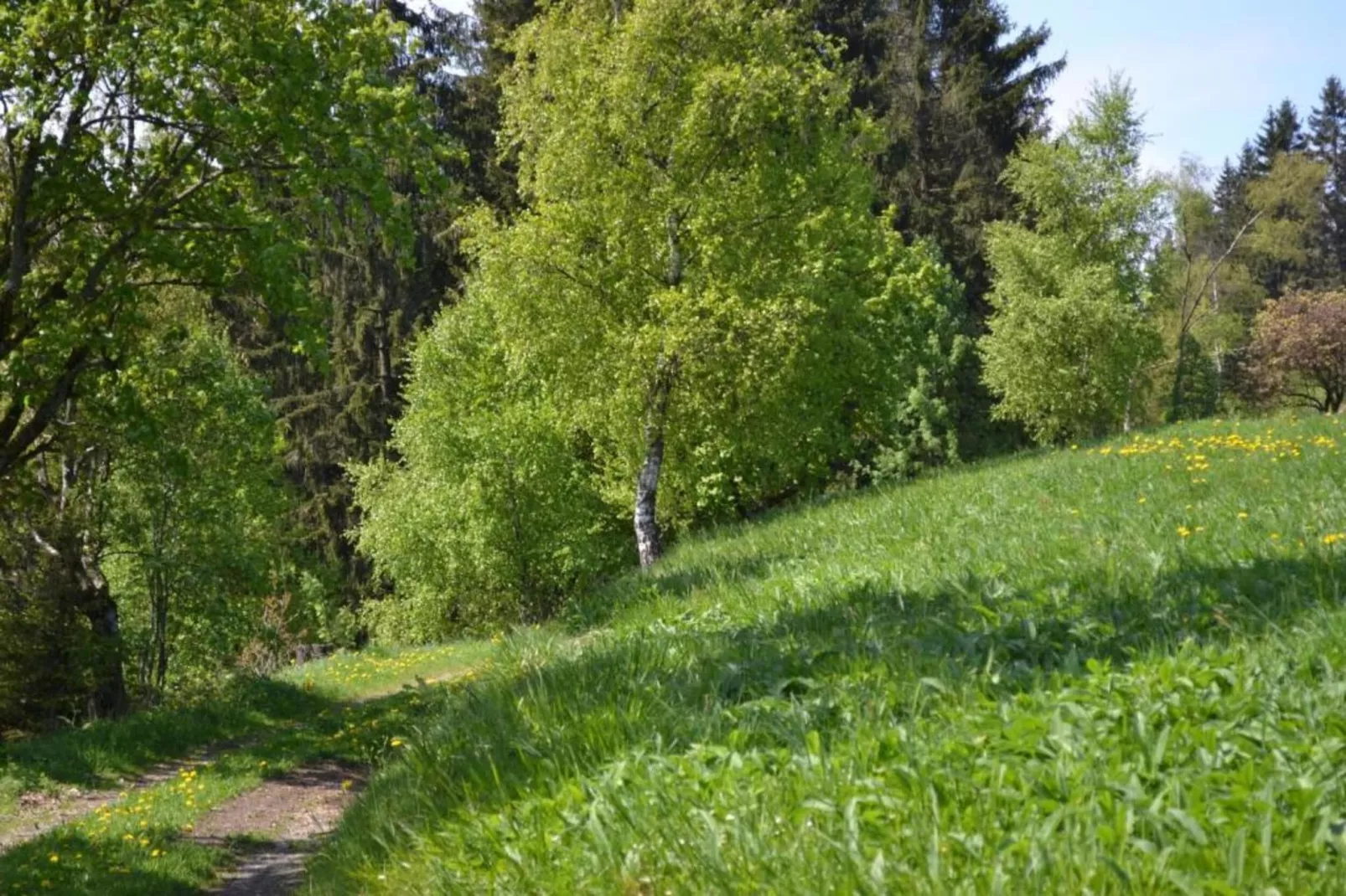 Ferienapartment Romatik in Wildemann Harz-Areas summer 20km