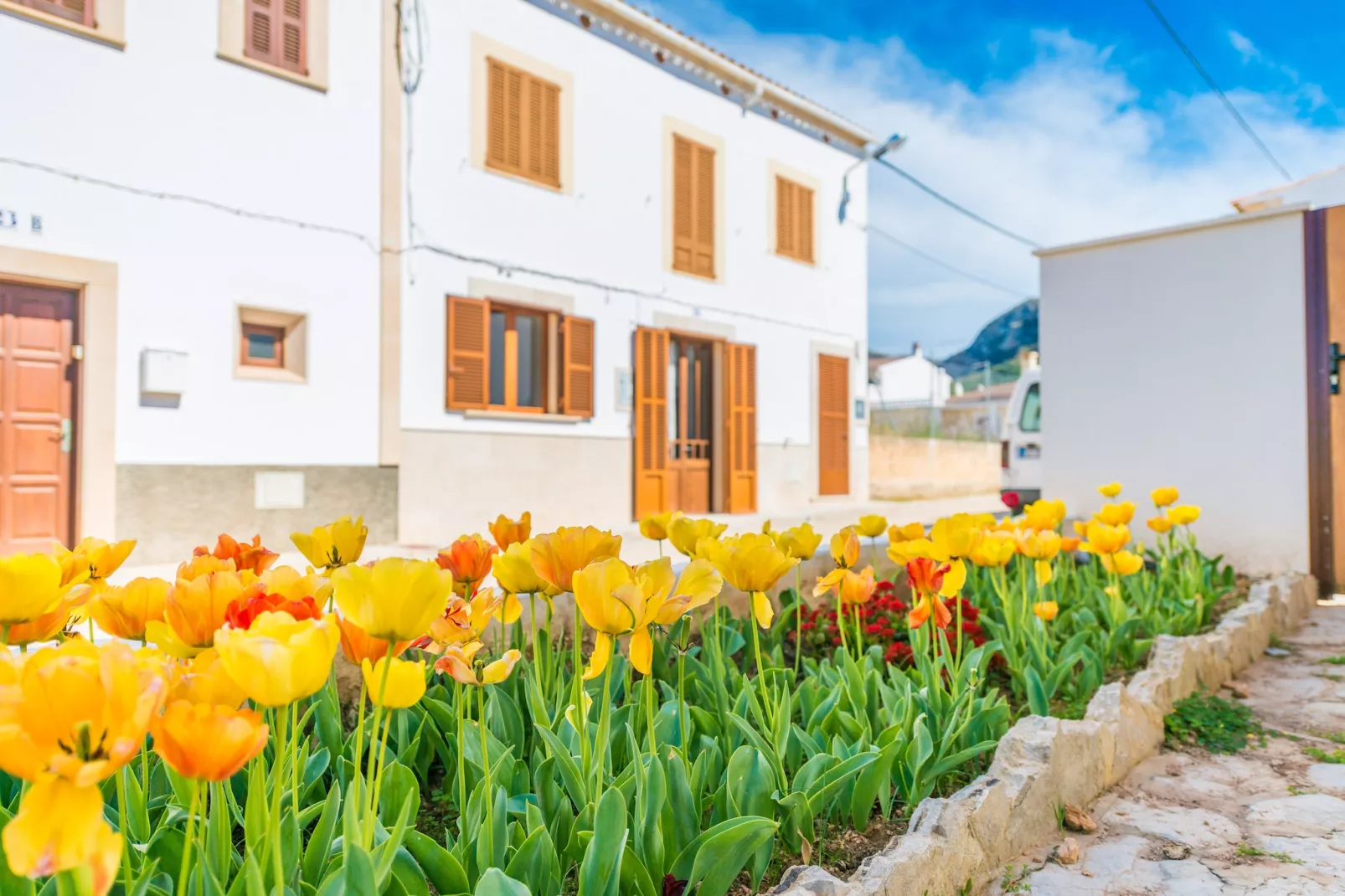 Vila Ca Shermano-Exterior summer