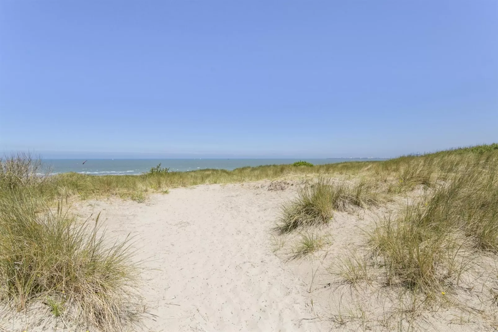 SEA SWALLOW - 1ST-Gebiete Sommer 5 km