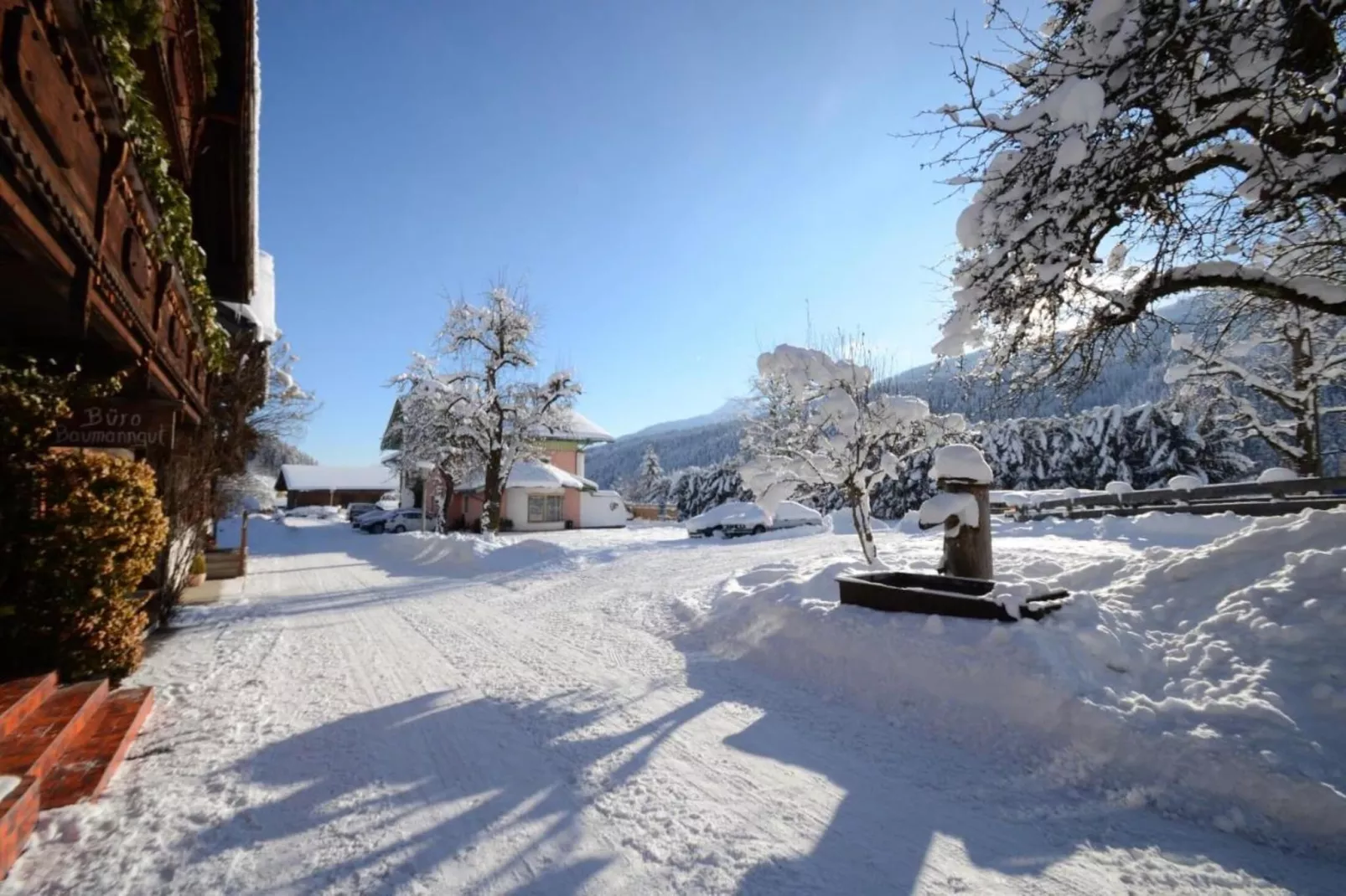 GA2C Alpenleben Apartments-Area winter 5km