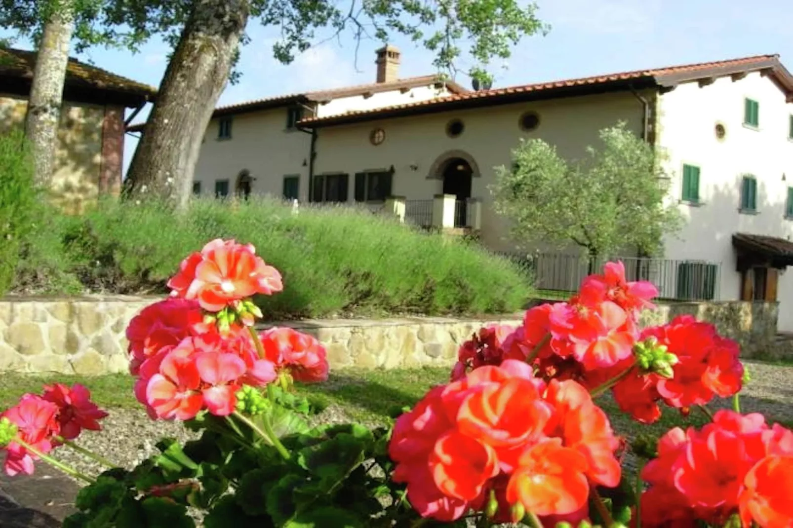 Il Ciliegio-Exterior summer