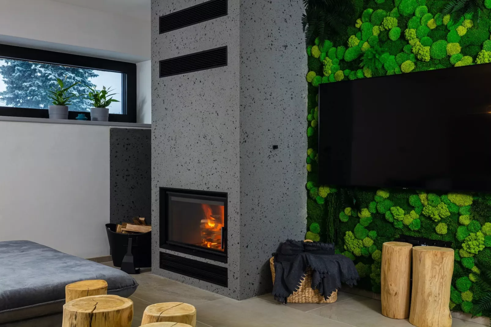 Celadna MCMV530-Living room