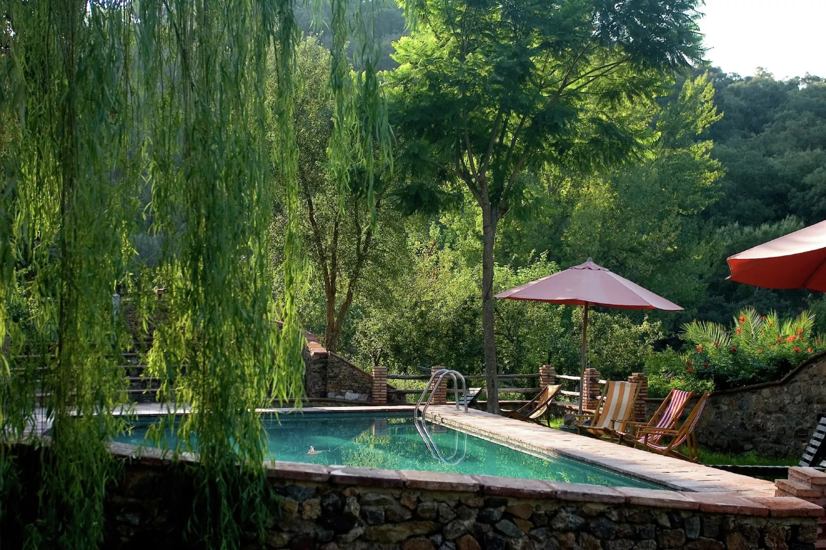 The Stork-Pool