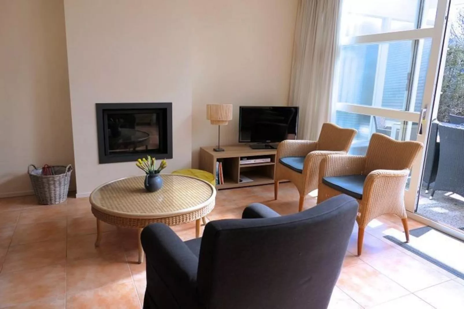 Campanula 11-Living room