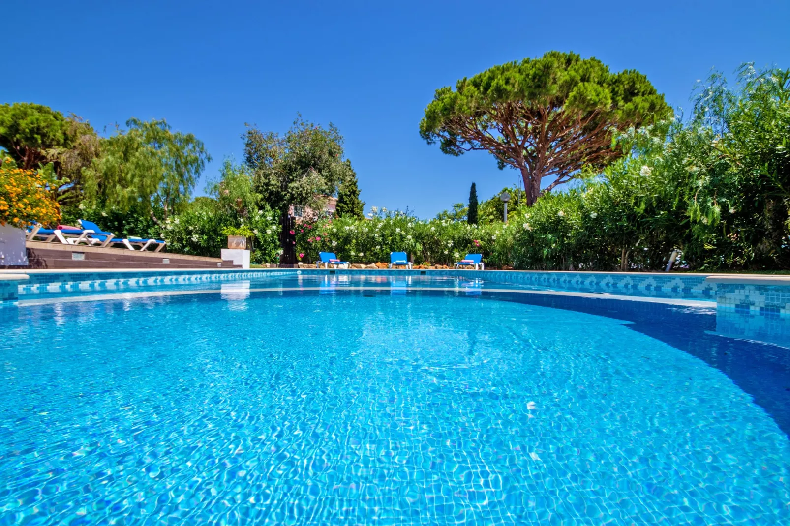 Villa Savannah-Piscine