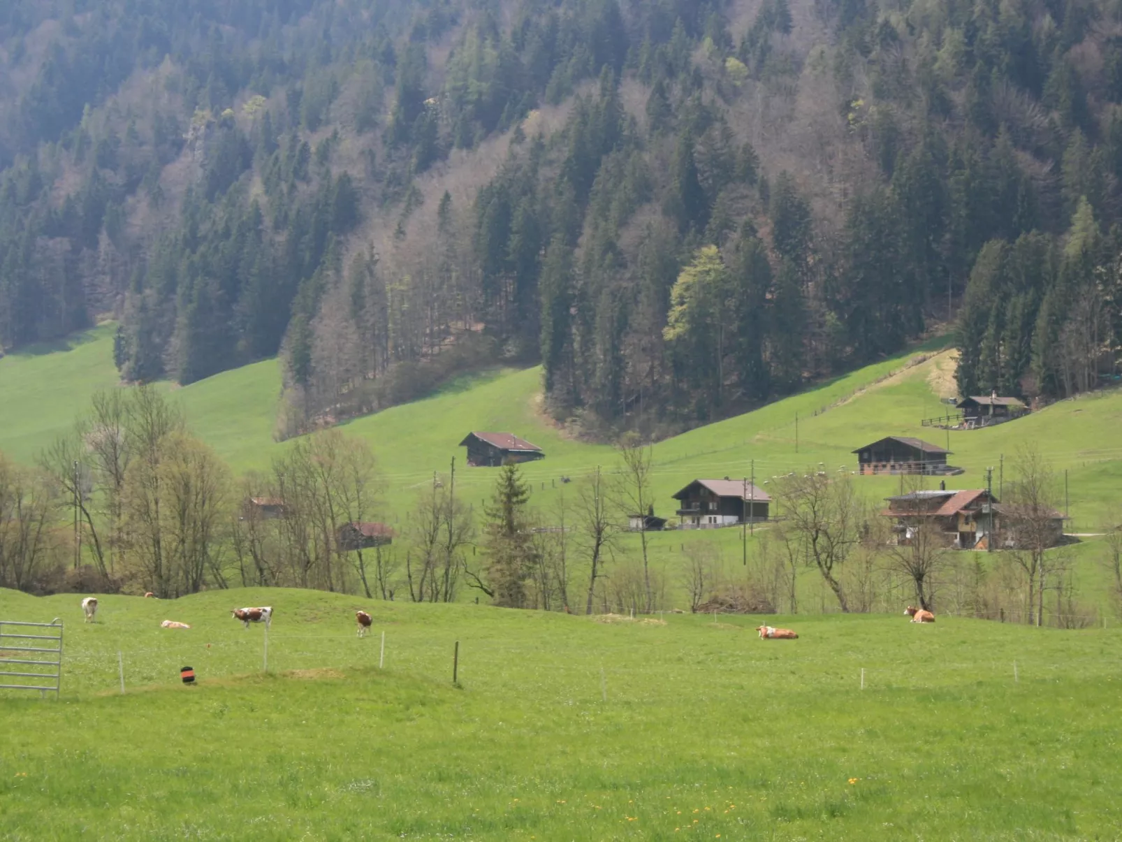 Chalet Bifigen-Draußen