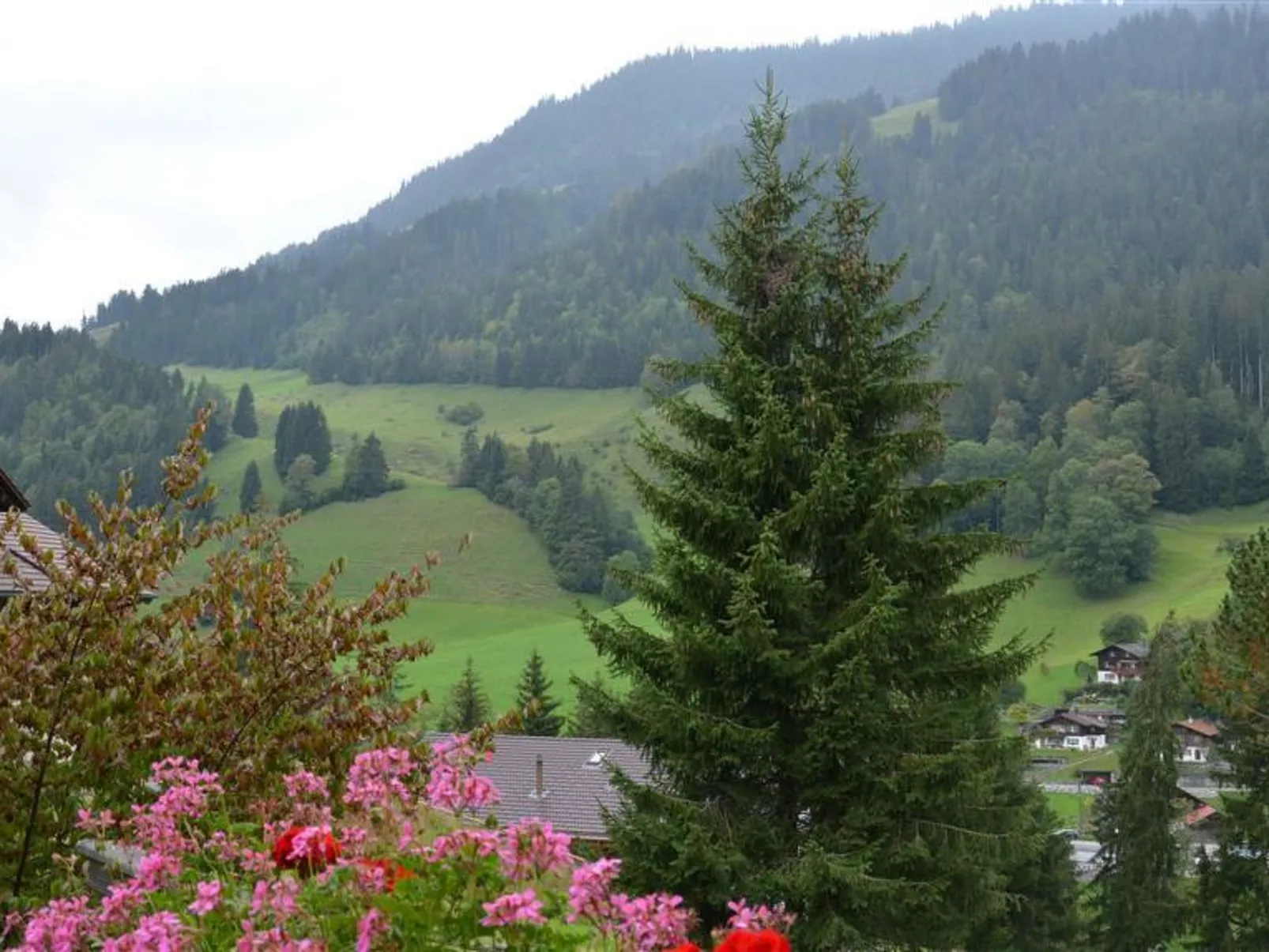 Spillgerten-Blick-Outside