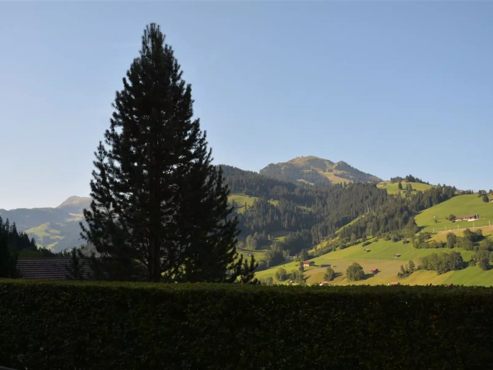 Eichhorn-Outside