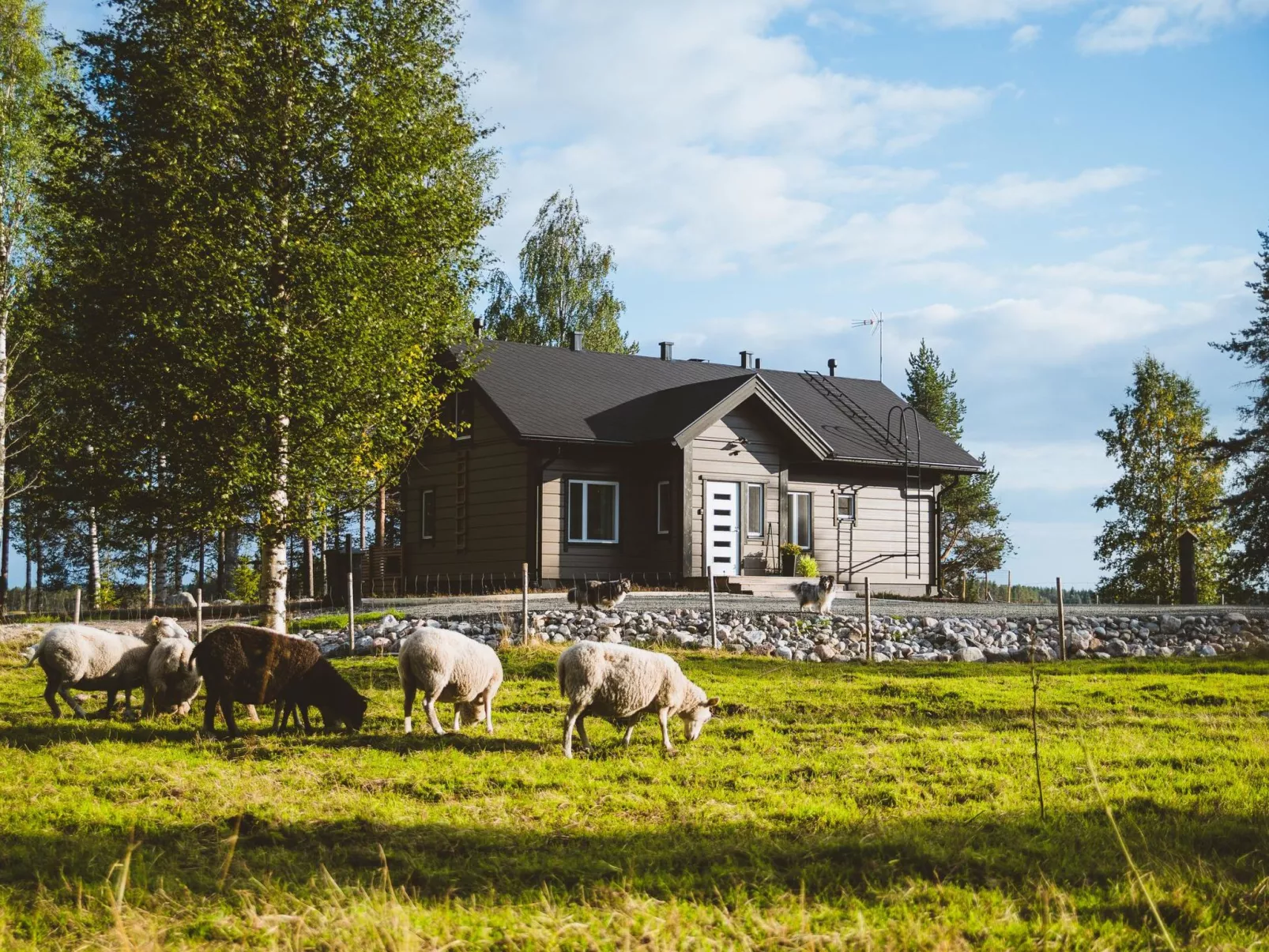 Villa lystikämä-Dehors