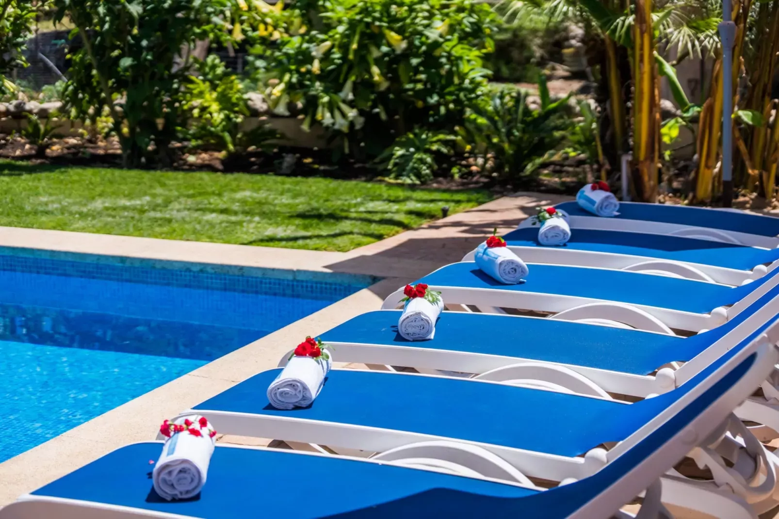 Can Tomeu-Pool