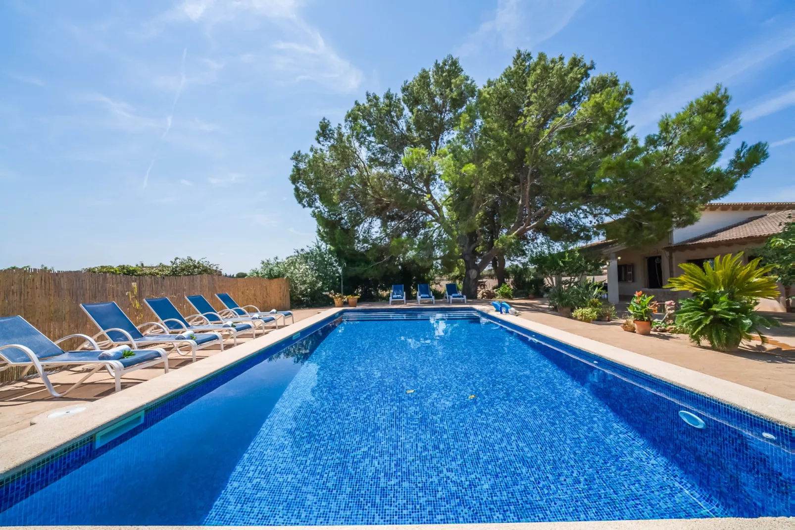 Can Ribas-Piscine