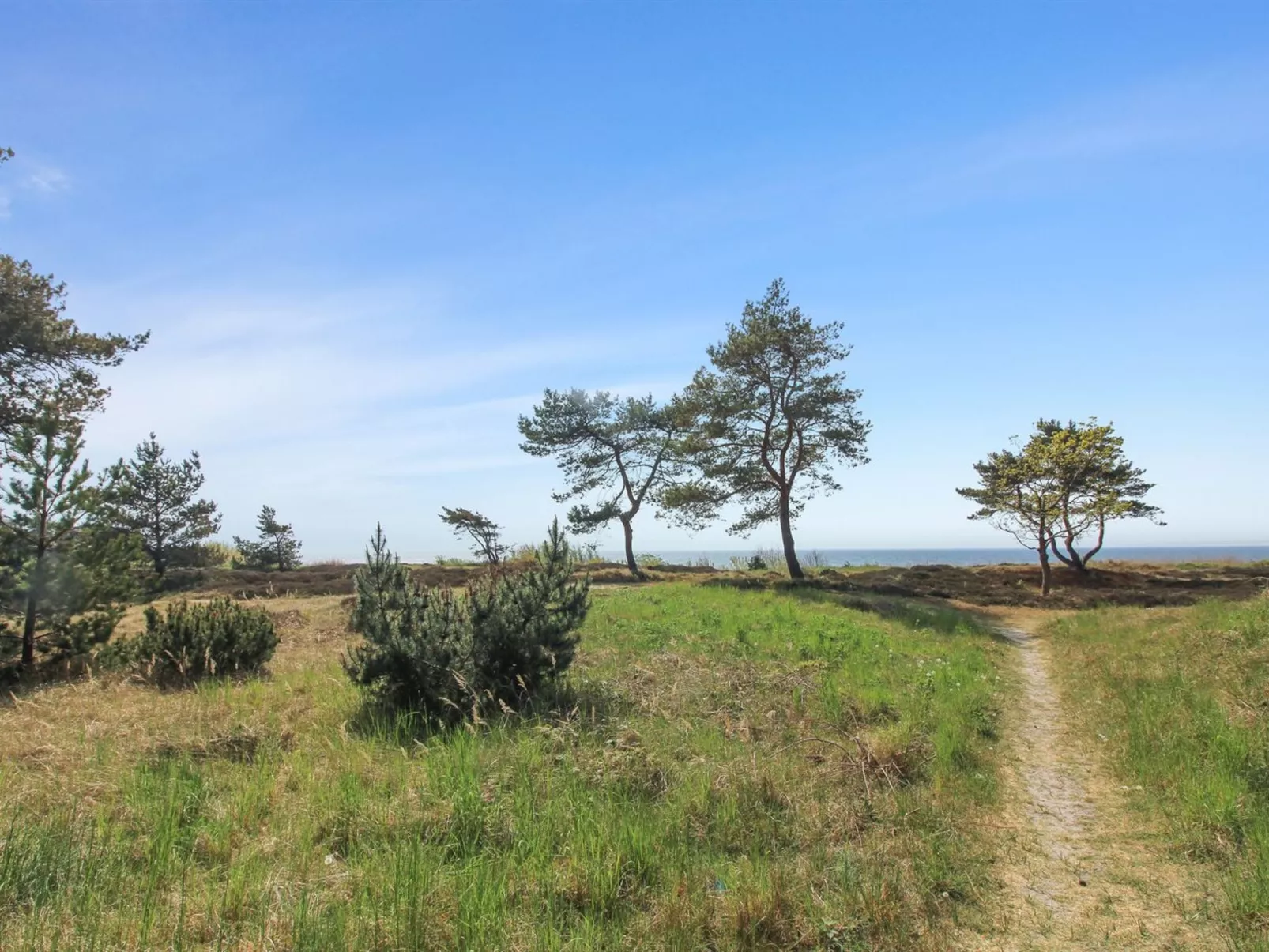 "Eick" - 800m from the sea-Outside