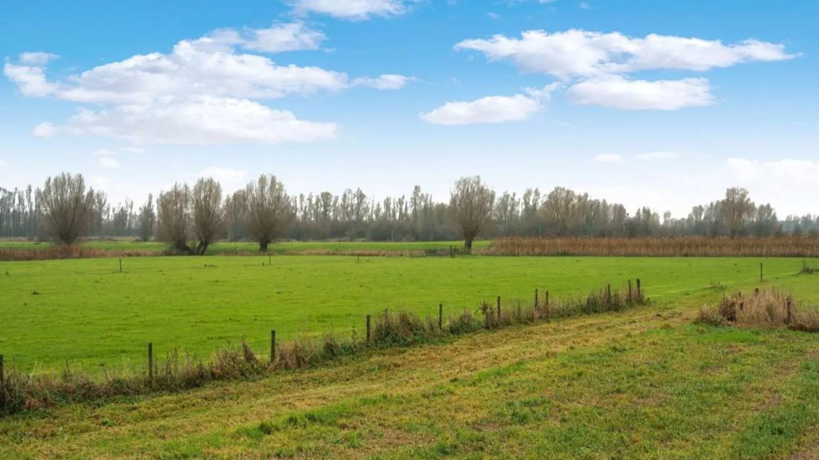 Hoevendeel-Gebiete Sommer 1 km