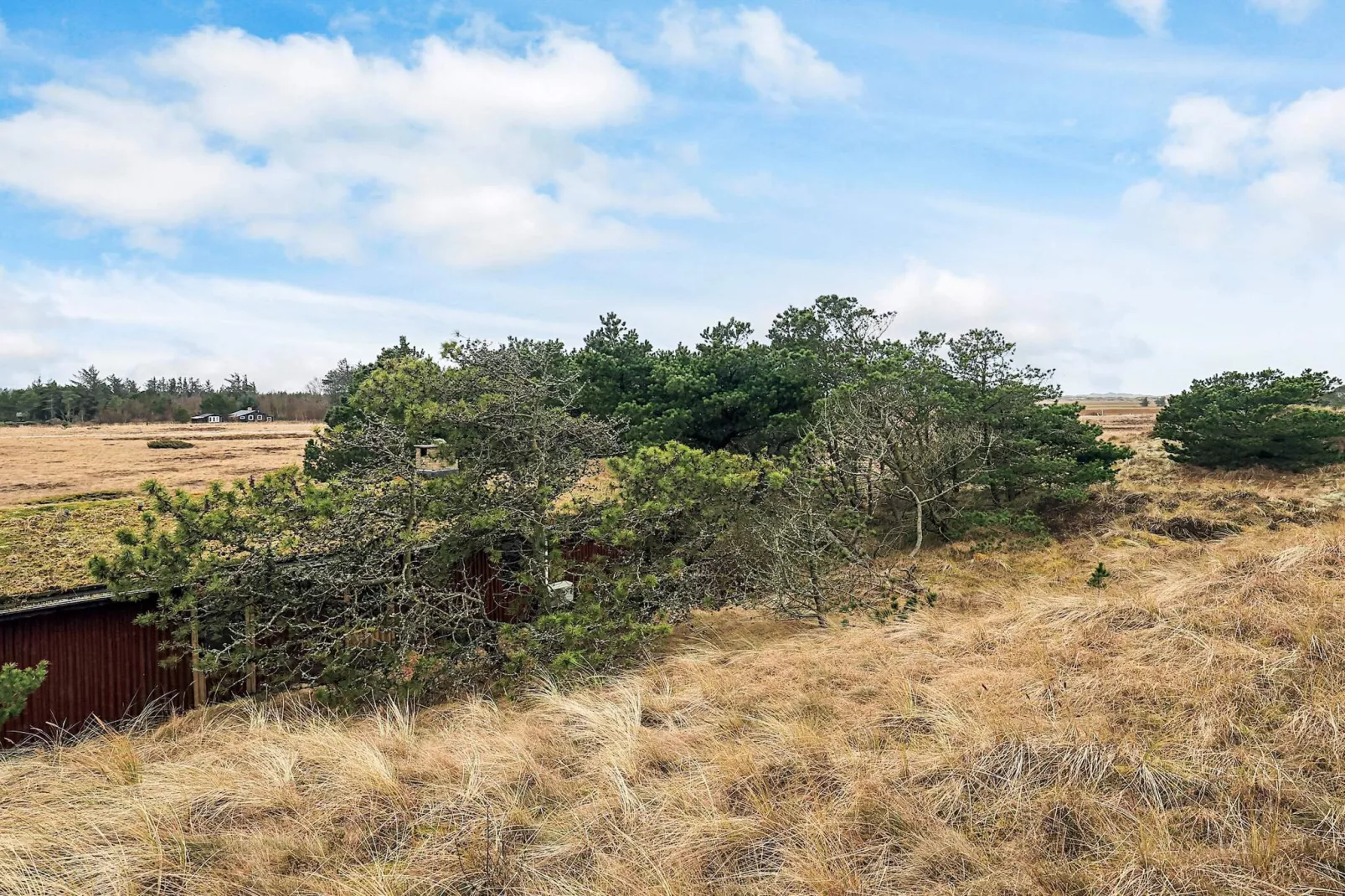 6 person holiday home in Pandrup-View
