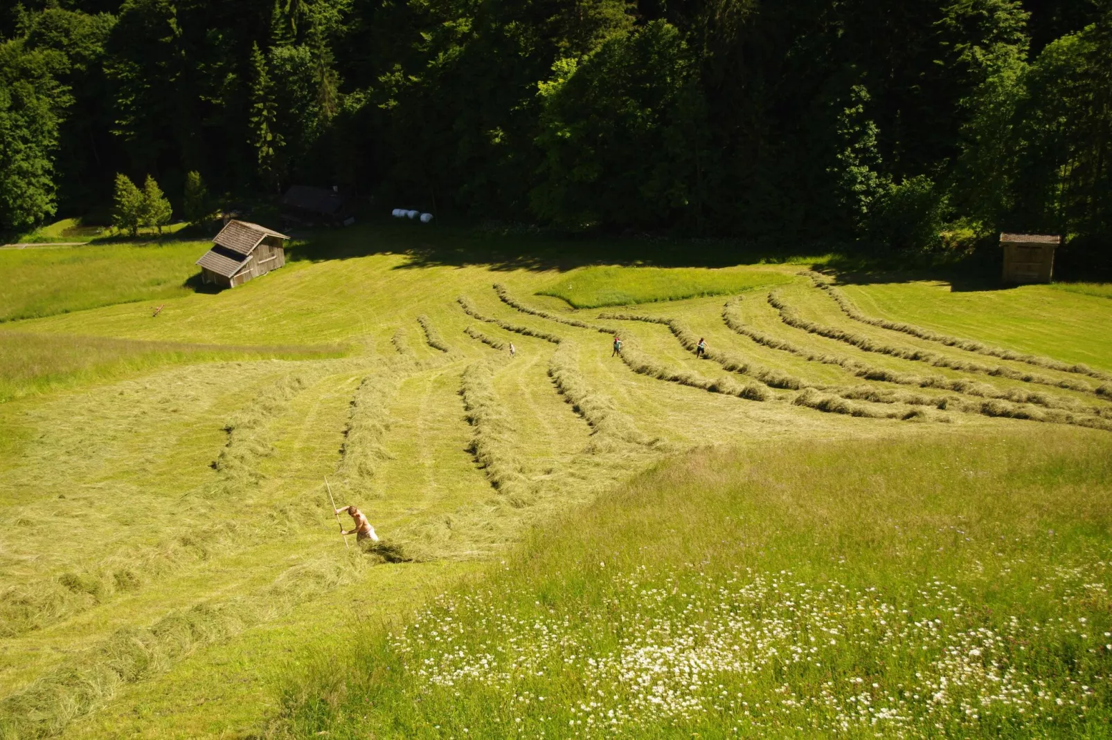 Neuhäusl-Aussicht Sommer