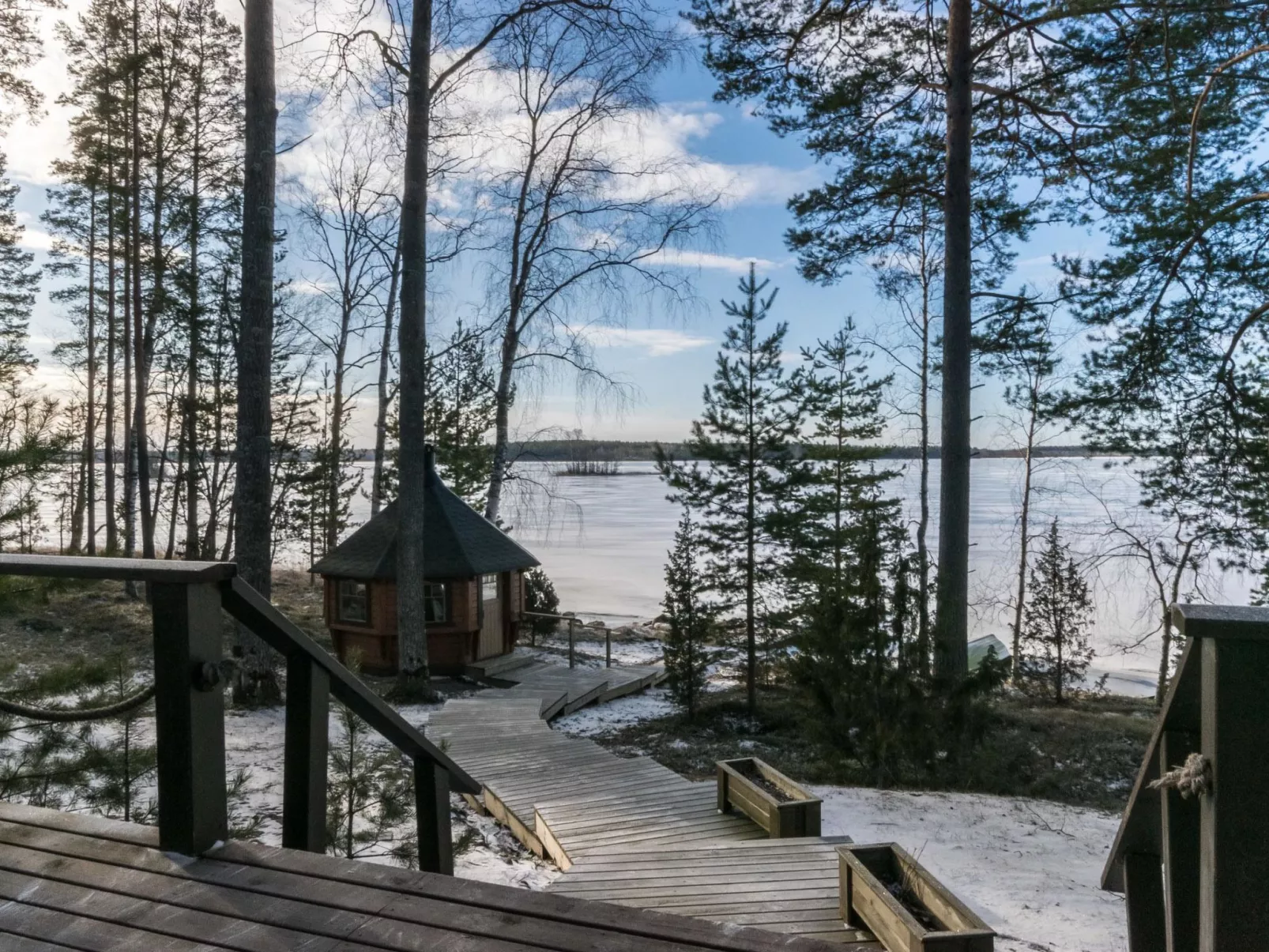 Puolen hehtaarin metsä-Outside