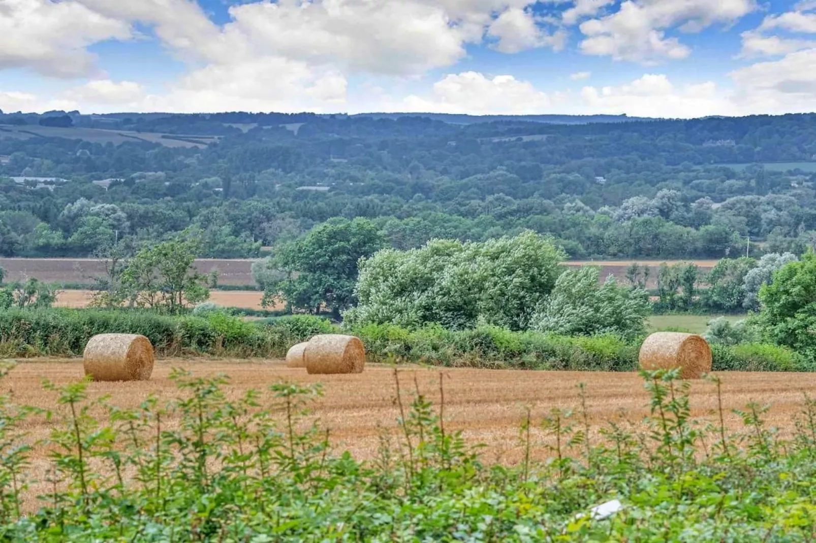 Little Rissington - Barn Three-Gardens summer