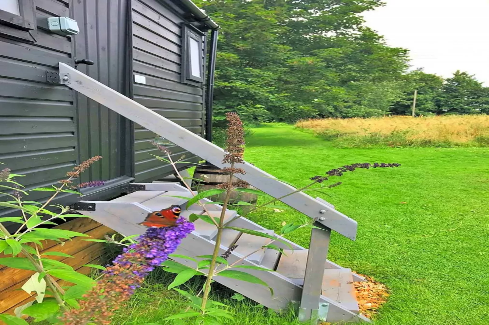 Lilypad Bell Tent-Exterior summer