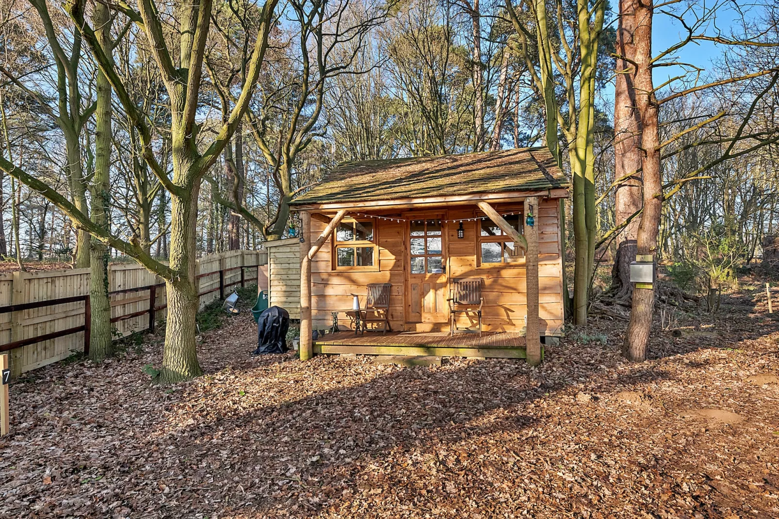 Cedar Lodge-Outdoor