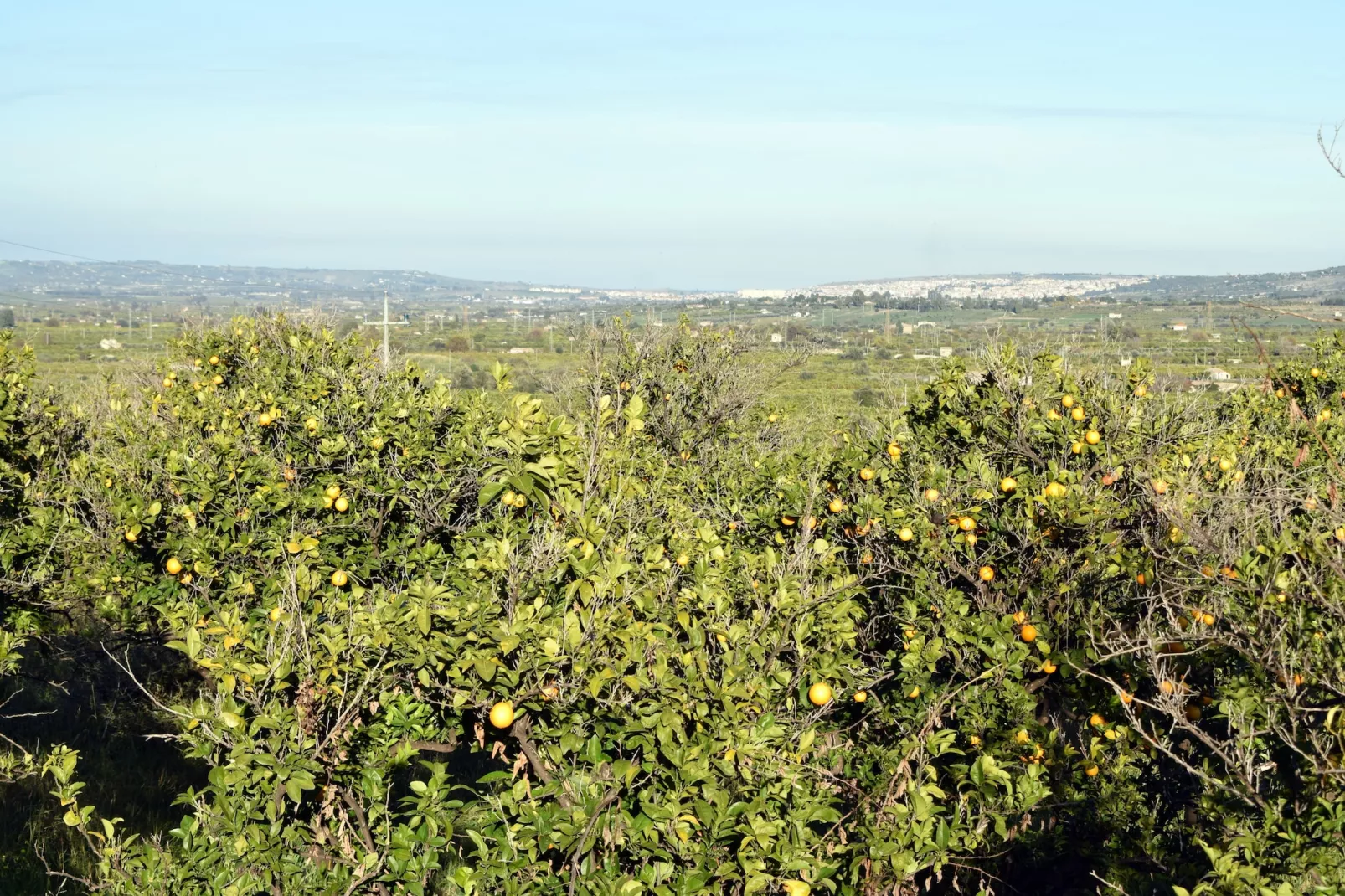 Villa Francofonte-View summer