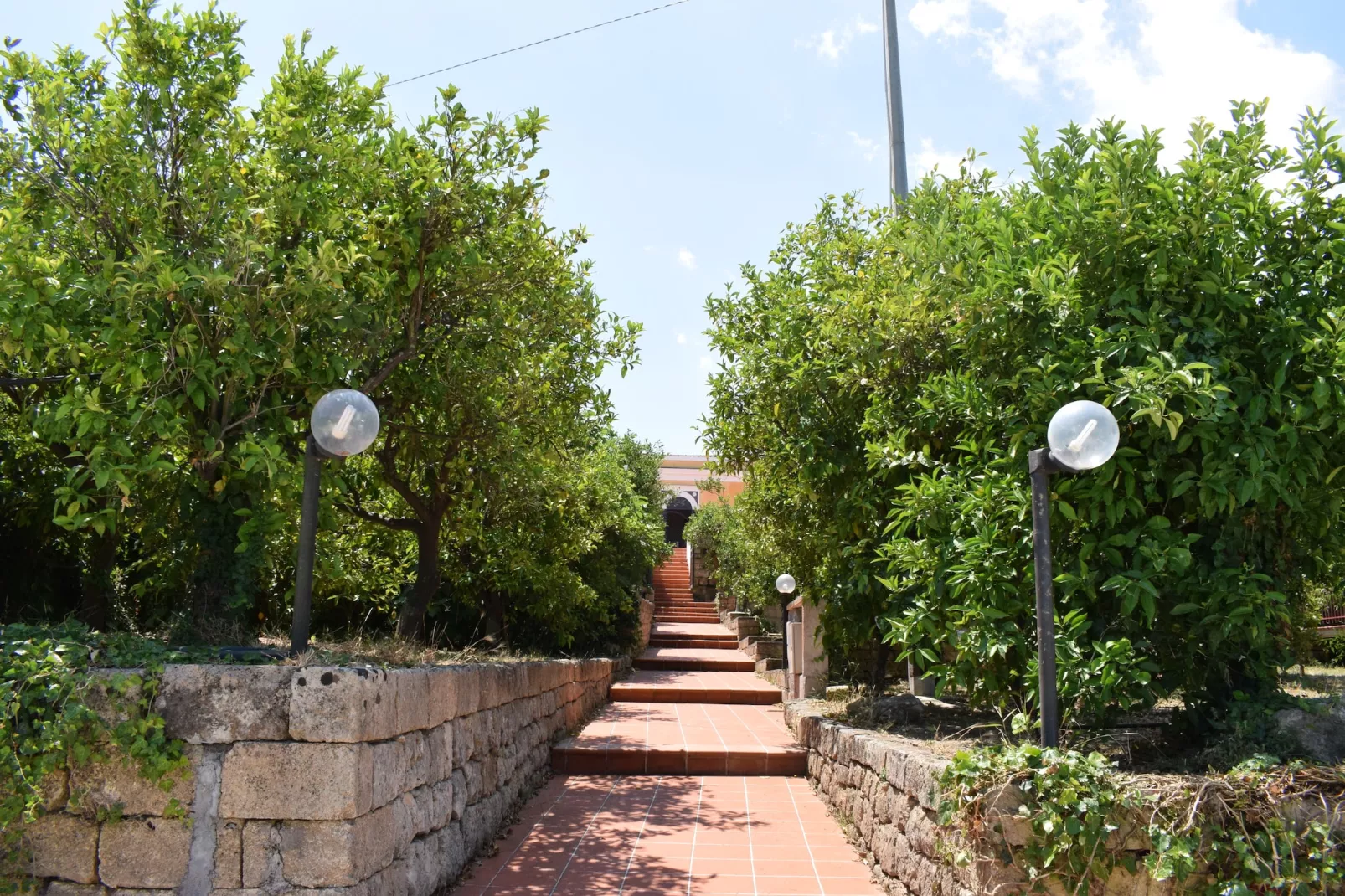 Cirico-Exterior summer