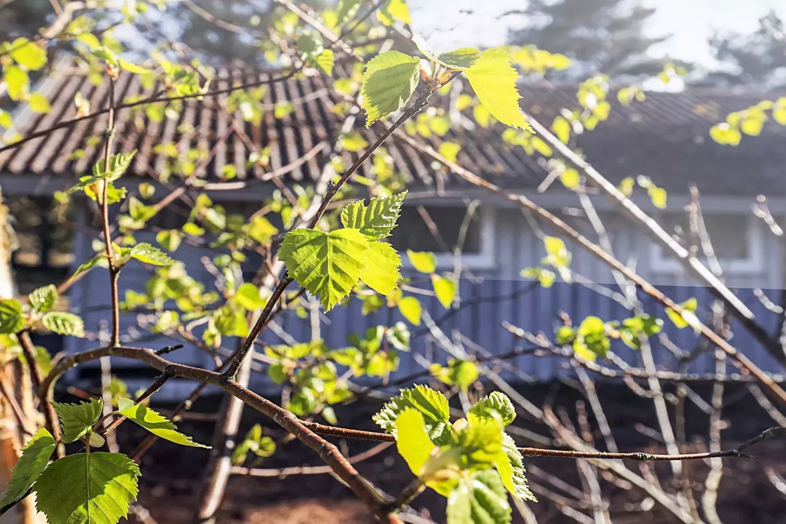 6 person holiday home in Ålbæk-View